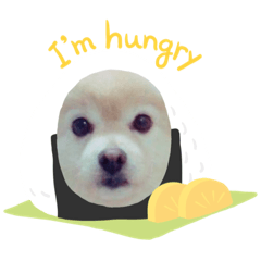 dogicetwo