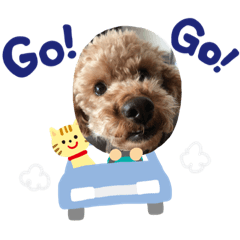 natsumi_20190510190948