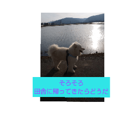 sky_20190510192135