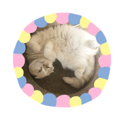 pon_20190510235812