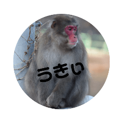 TAWASI_20190510174114