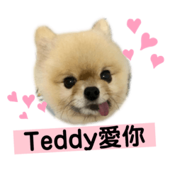 Teddybaby