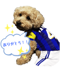 miko_20190510133101