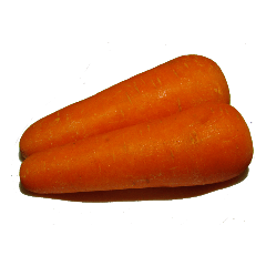 carrot..