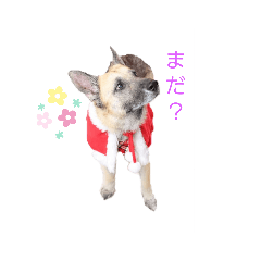 sumire_20190511035727