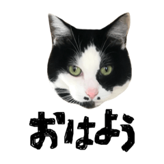 店長とバイトちゃん Line スタンプ Line Store