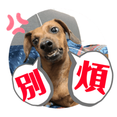 厭世大腸2