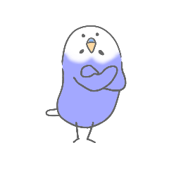 silent budgerigar-blue
