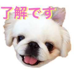 kakusan.sukesan