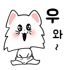 可爱的猫(korea text version1)