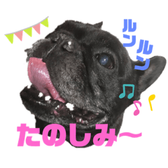 ume_frebull