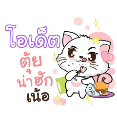 ODET Seenuan cat_N