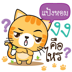 PANGHOM Sesa cat_S