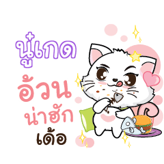 NOOKADE Seenuan cat_E