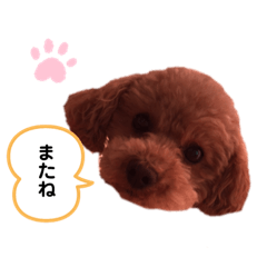 kiyo_20190511194026
