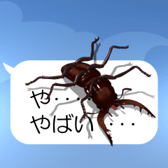 Stag beetle on the smartphone