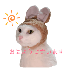 Nanami_20190511204529