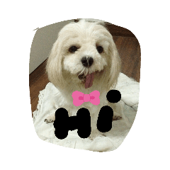 My love_20190514120541