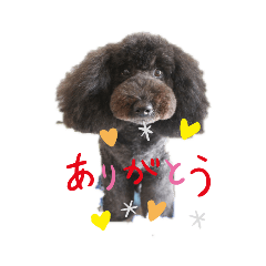 KEN_20190511220512