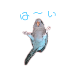 cherry_20190512135738