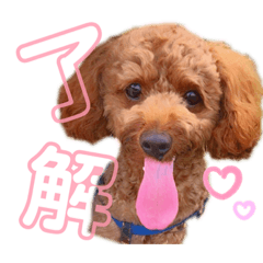 moco_20190511211645