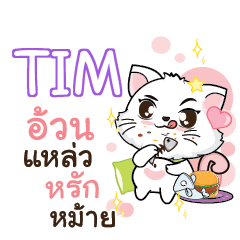 TIM Seenuan cat_S e