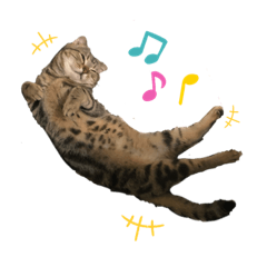 可以一家首部曲