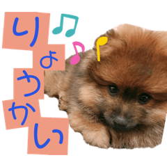 yuuki_20190512164238