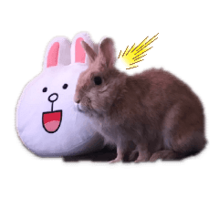 ken_20190512170639