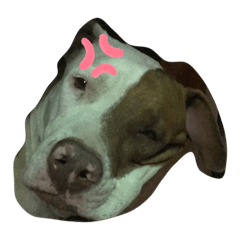 moo_20190515125704