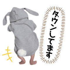 kaho_20190512223713