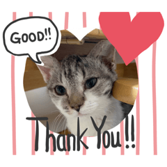 akane_20190513010706