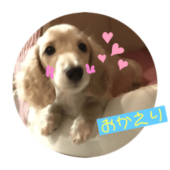 KINAKO_20190512225648