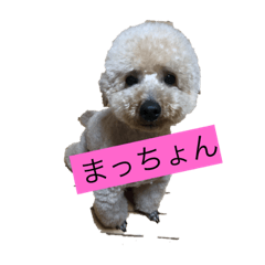 kazuki_20190512200724