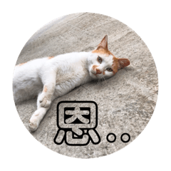 小芙仔的厭世貓生