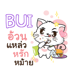 BUI Seenuan cat_S e