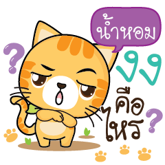 NAMHOM Sesa cat_S