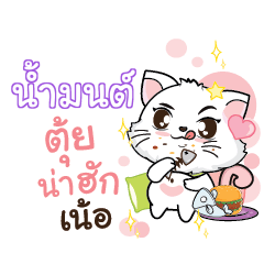 NAMMON Seenuan cat_N