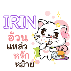 IRIN Seenuan cat_S e