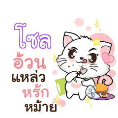 SOUL Seenuan cat_S