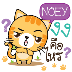 NOEY Sesa cat_S e