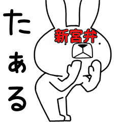Dialect rabbit [shingu2]