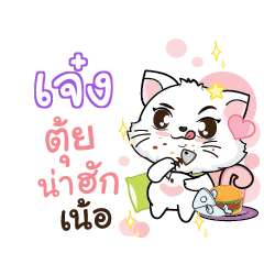 JENG Seenuan cat_N
