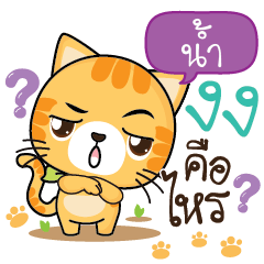 NAM8 Sesa cat_S