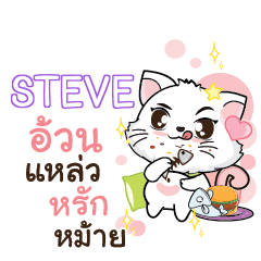 STEVE Seenuan cat_S e