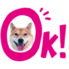 Shiba dog 'koro' stickers -1