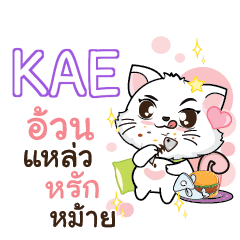 KAE Seenuan cat_S e