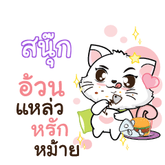 SNOOK Seenuan cat_S