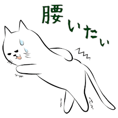 the white cat "nyaun chan" - part 2