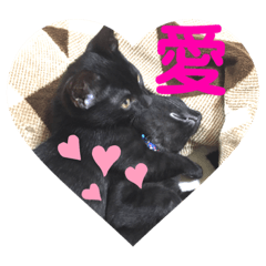 miko_20190513220656